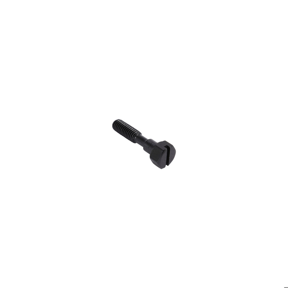 Stanadyne End Plate Screw